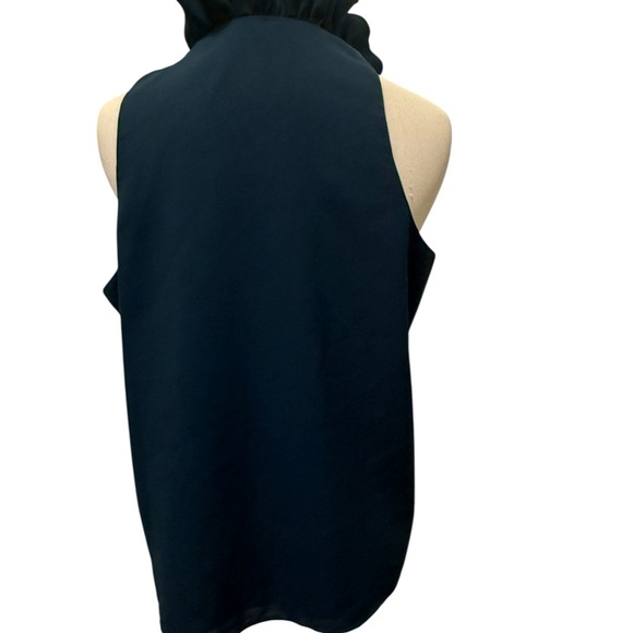 Robbi & Nikki Elegant Ruffled Black Sleeveless Top - Picture 3 of 11